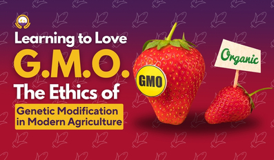 THE ETHICS OF GENETIC MODIFICATION IN AGRICULTURE